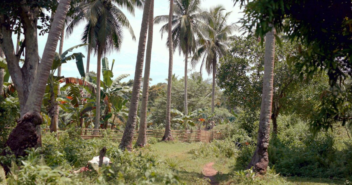 Photo from a farm
