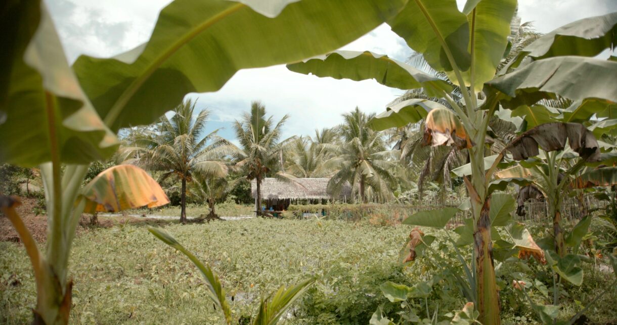 Farmhouse in the distance