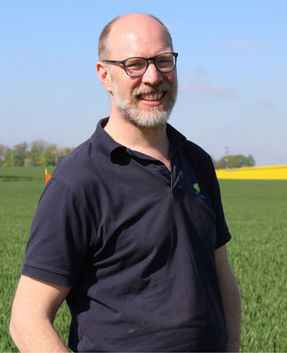 Mattias Hammarstedt