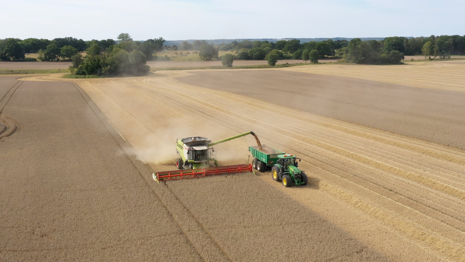 Wheat field