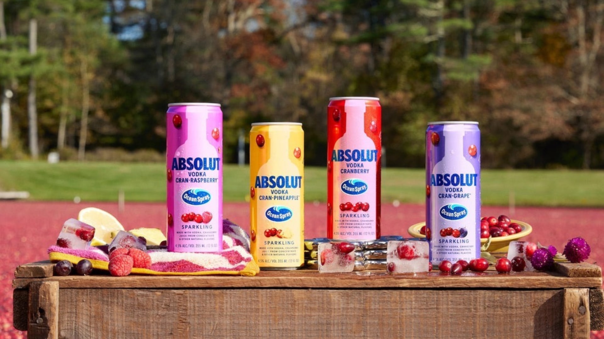 Absolut Vodka ready-to-drink cans