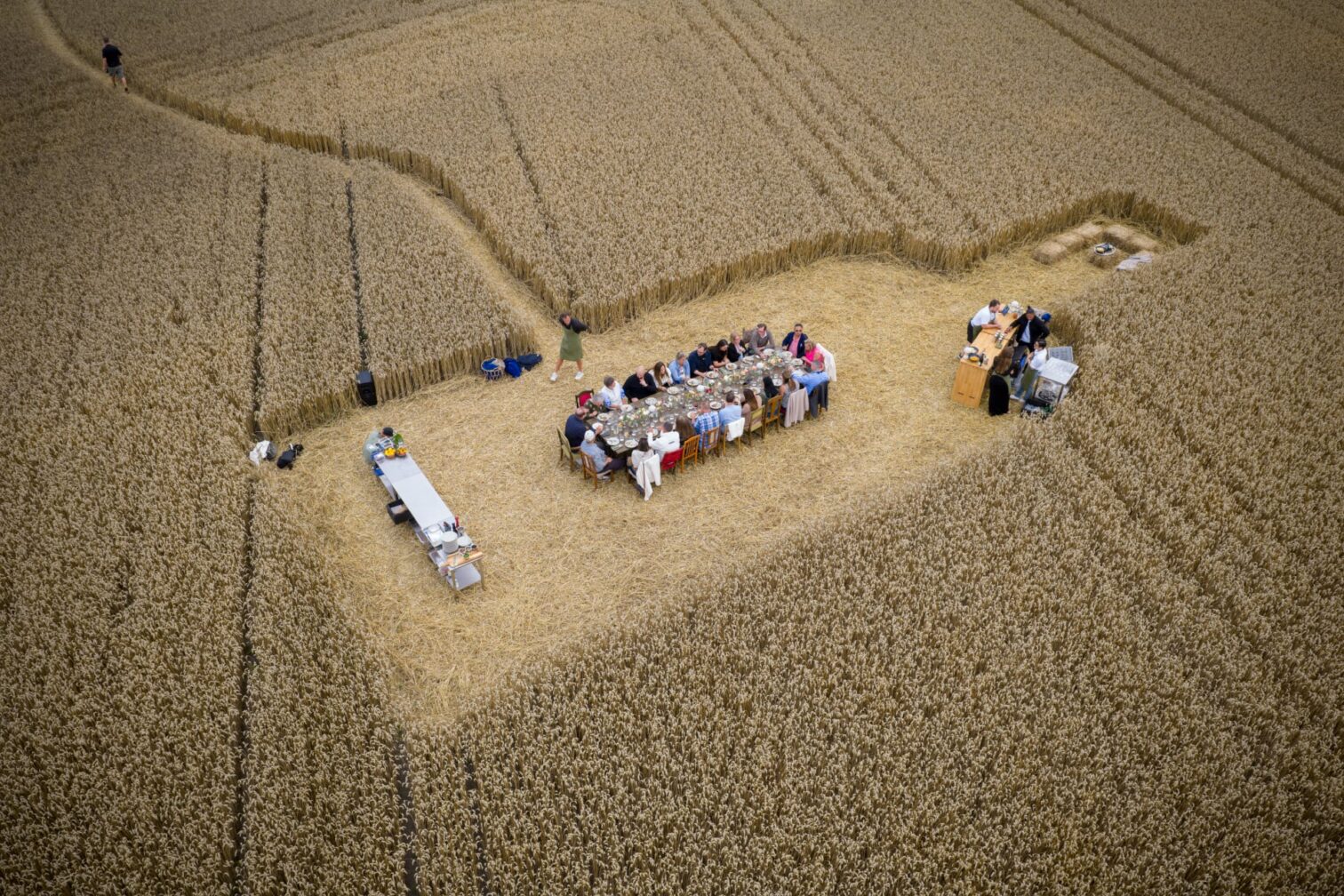 Dinner in the wheat field