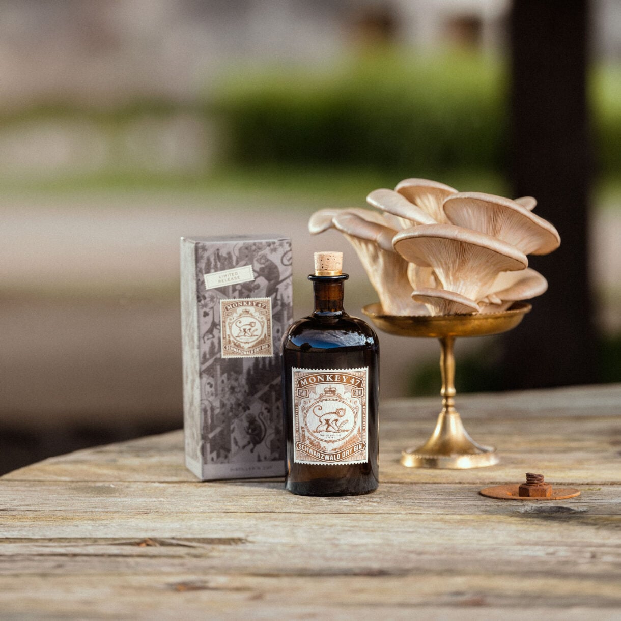 MONKEY 47 and Oyster Mushrooms